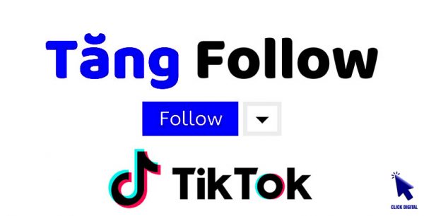 Phần mềm tăng follow Tiktok